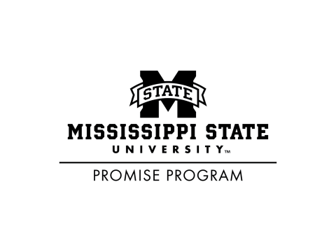 Promise Program Logo